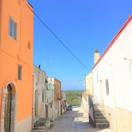 Patanella Wine