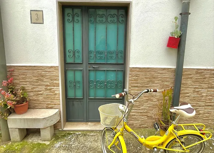 Daire Patanella Wine